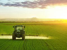 Best Agricultural Product Wholesale Companies