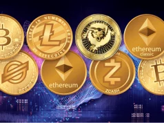 Story Behind The Crypto Learning Will Haunt You Forever! The crypto Learning