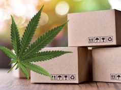 The novelty of custom marijuana boxes is growing in USA A image of Custom Marijuana Boxes in USA