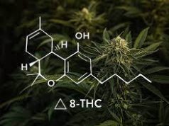 What to expect from delta 8 products? Dallas delta-8-THC