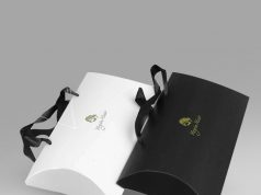 Why companies should choose pillow boxes for products Pillow boxes