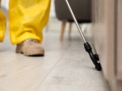 Keeping Spiders Out: Effective Strategies for Homeowners Pest Control Service In Dhaka